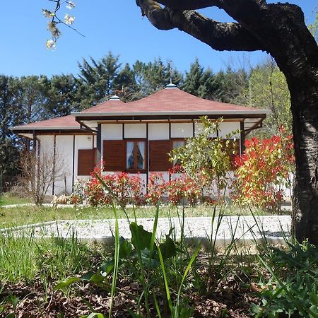 פוטנצה B&B The Lodge מראה חיצוני תמונה