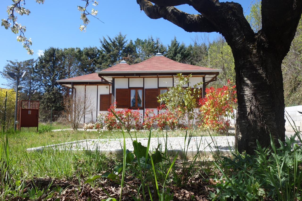 פוטנצה B&B The Lodge מראה חיצוני תמונה