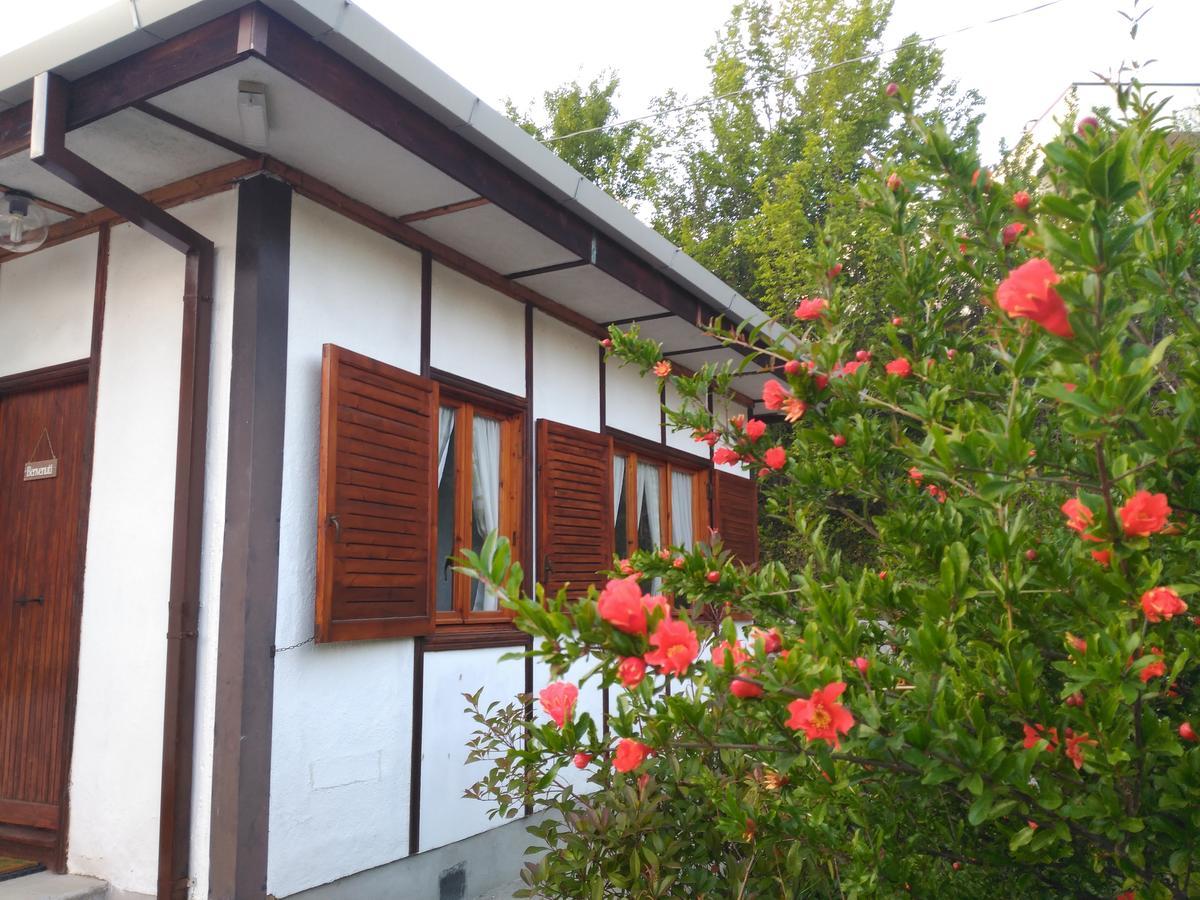 פוטנצה B&B The Lodge מראה חיצוני תמונה