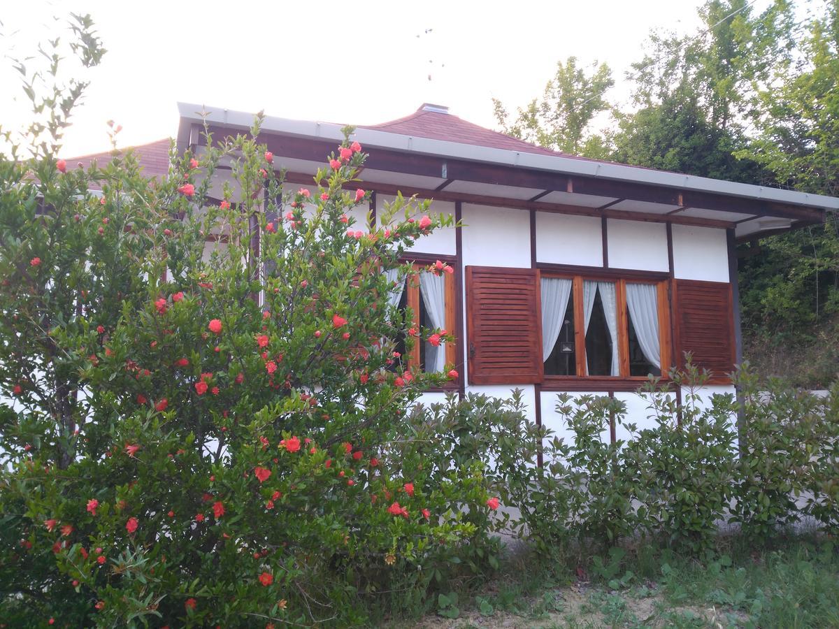 פוטנצה B&B The Lodge מראה חיצוני תמונה