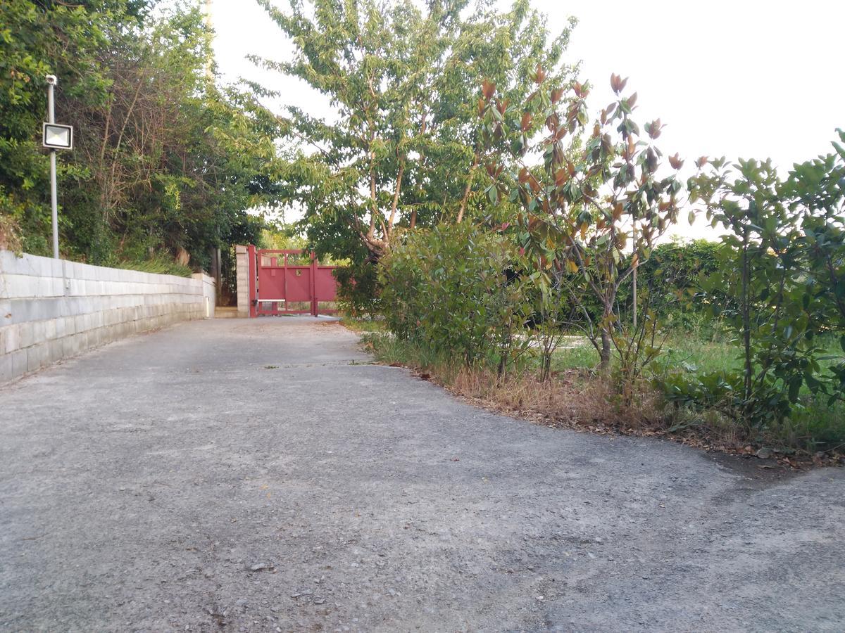 פוטנצה B&B The Lodge מראה חיצוני תמונה